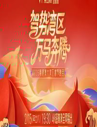 驾势湾区万马奔腾——2026粤港澳大湾区春节晚会HD国语中字