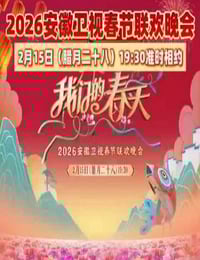 2026安徽卫视春节联欢晚会HD国语中字