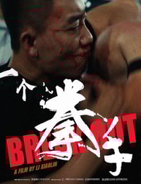 2026年国产动作片《一个拳手》HD国语中字