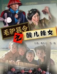 2014年国产喜剧片《毛驴县令之酸儿辣女》HD国语中字