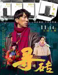 2025年国产剧情片《寻砖》HD国语中字