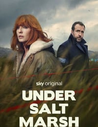 2026年英国电视剧《盐沼之下》连载至01