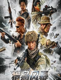 2026年国产动作片《猎枭风暴》HD国语中字