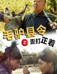 2014年国产喜剧片《毛驴县令之歪打正着》HD国语中字
