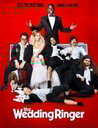 2015年美国经典喜剧片《定制伴郎》蓝光中英双字