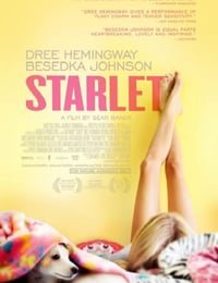 2012年美国经典剧情片《待绽蔷薇》蓝光中英双字