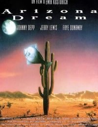 1993年美国经典喜剧片《亚利桑那之梦》蓝光中英双字