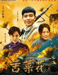 2019年国产电视剧《苦菜花》 连载至第10集