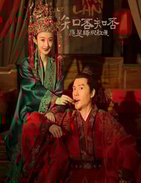 2018年国产大陆电视剧《知否知否应是绿肥红瘦》全78集