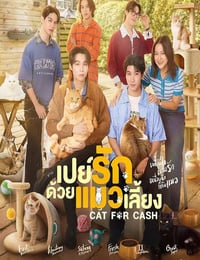 2026年泰国电视剧《以猫饲爱》 连载至第08集