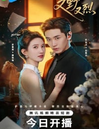 2026年国产电视剧《又野又烈》 连载至第10集