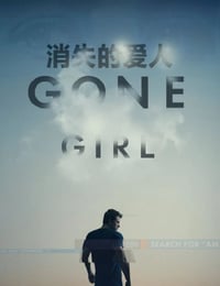 2014年美国经典悬疑片《消失的爱人》蓝光中英双字