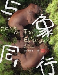 2022年国产纪录片《与象同行》 连载至HD国语中字