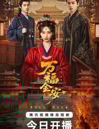 2026年国产电视剧《万福金安》 连载至第08集