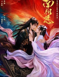 2026年国产电视剧《南相思》 连载至第10集