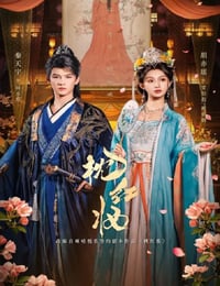 2026年国产大陆电视剧《枕红妆》连载至13