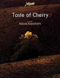 1997年法国经典剧情片《樱桃的滋味》蓝光波斯语中字