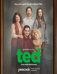 2026年美国电视剧《泰迪熊第二季》全8集