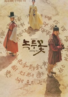 2019年韩国电视剧《绿豆花》全24集