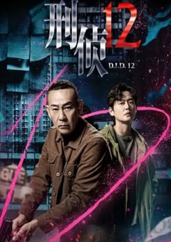 2025年中国香港电视剧《刑侦12 国语版》连载至06