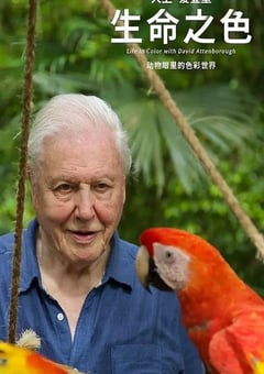 2021年英国纪录片《生命之色》全4集