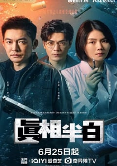 2025年国产大陆电视剧《真相半白》全25集