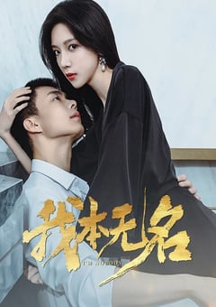 2025年国产大陆电视剧《我本无名》连载至10