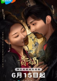 2025年国产大陆电视剧《贵嫡》全21集