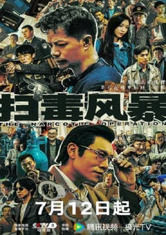 2025年国产大陆电视剧《扫毒风暴》全33集