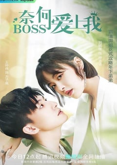 2022年国产大陆电视剧《奈何BOSS爱上我》全16集