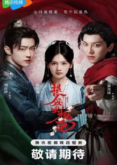 2025年国产大陆电视剧《提剑映桃花》连载至09