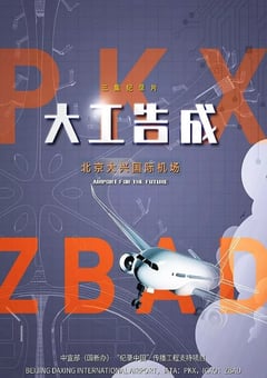 2020年国产大陆纪录片《大工告成——北京大兴国际机场》全3集