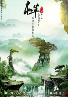 2019年国产大陆纪录片《本草中国 第二季》全12集