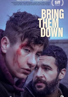 2024年爱尔兰惊悚片《打倒他们》BD中英双字