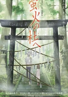 2011年日本经典动画片《萤火之森》蓝光日语中字