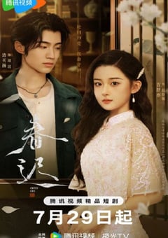 2025年国产大陆电视剧《春迟》全26集