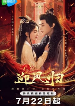 2025年国产大陆电视剧《迎凤归》全28集
