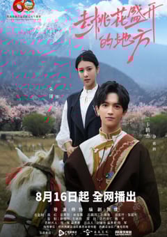 2025年国产大陆电视剧《去桃花盛开的地方》全12集