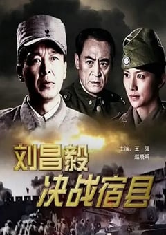 2009年国产经典战争片《刘昌毅决战宿县》HD国语中字