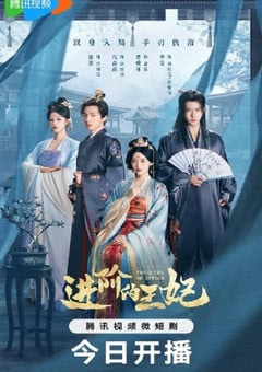 2025年国产大陆电视剧《进阶的王妃》连载至12