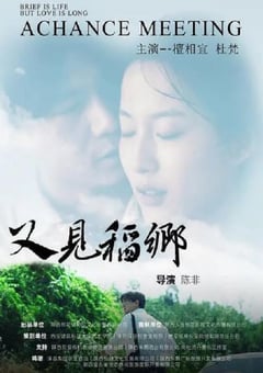 2024年国产爱情片《又见稻乡》HD国语中字