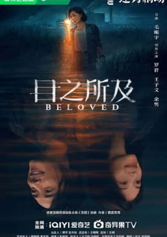 2025年国产大陆电视剧《目之所及》全16集