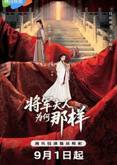 2025年国产大陆电视剧《将军夫人为何那样》全24集