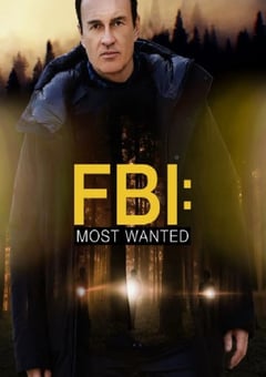 2021年美国电视剧《联邦调查局:通缉要犯 第三季》全22集