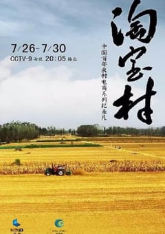 2019年国产大陆电视剧《淘宝村》全5集