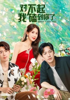 2025年国产大陆电视剧《对不起，我磕到你了》全20集
