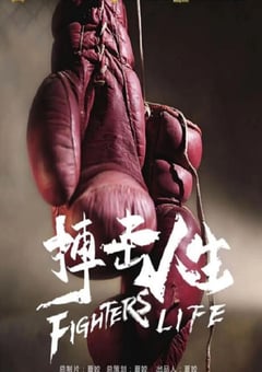 2021年国产动作片《搏击人生》HD国语中字