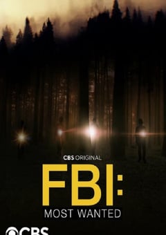 2022年美国电视剧《联邦调查局:通缉要犯第四季》全22集