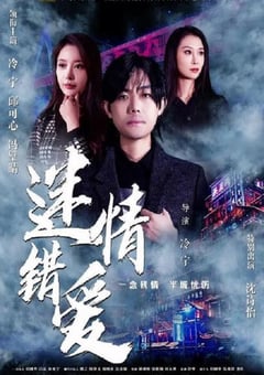 2024年国产爱情片《迷情错爱》HD国语中字