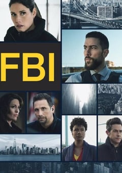 2024年美国电视剧《联邦调查局 第六季》全13集